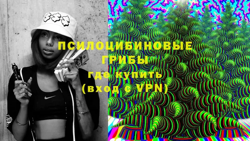 кракен   Советский  Псилоцибиновые грибы Cubensis 